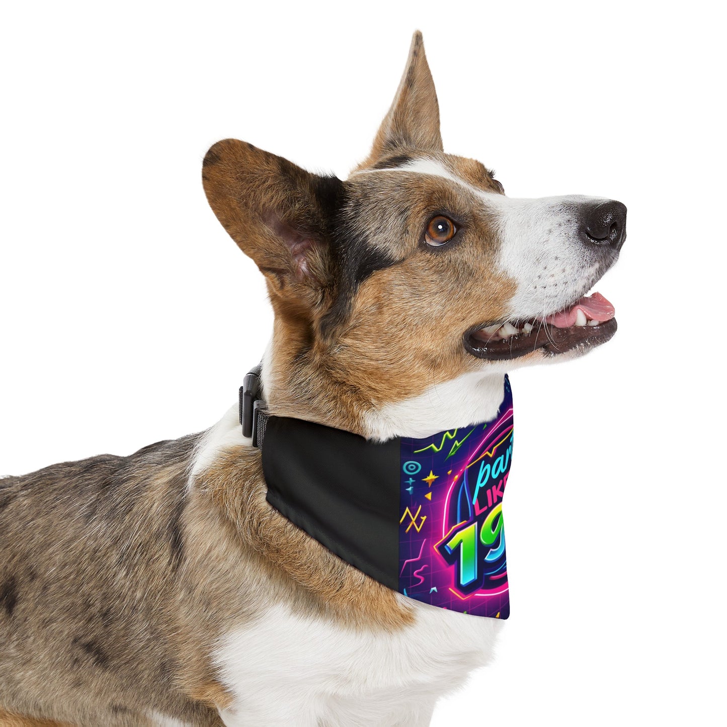 Pet Bandana Collar